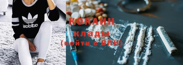 гашик Козловка