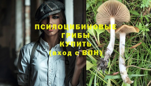 мескалин Вуктыл